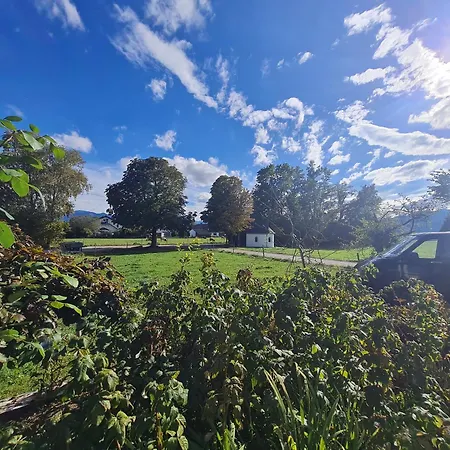 Alpenblick Pang Κατάλυμα σε φάρμα *