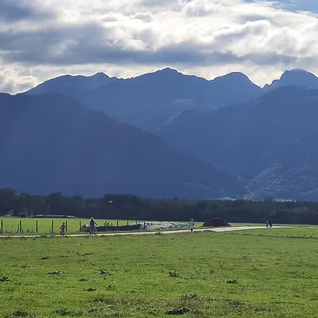 Alpenblick Pang *