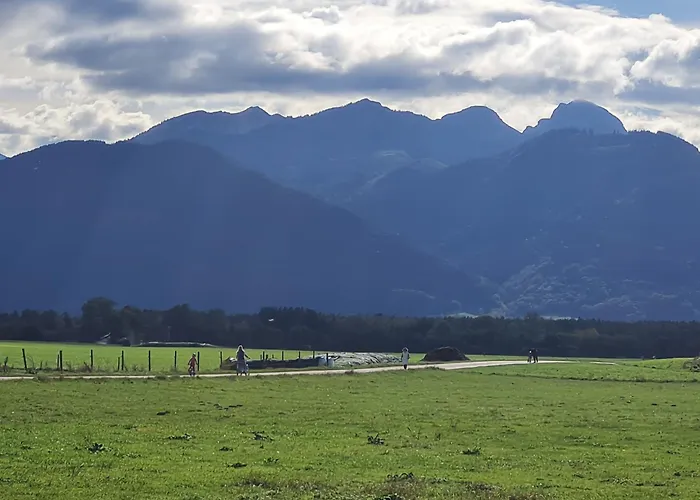 Alpenblick Pang *